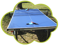 Table de Ping Pong